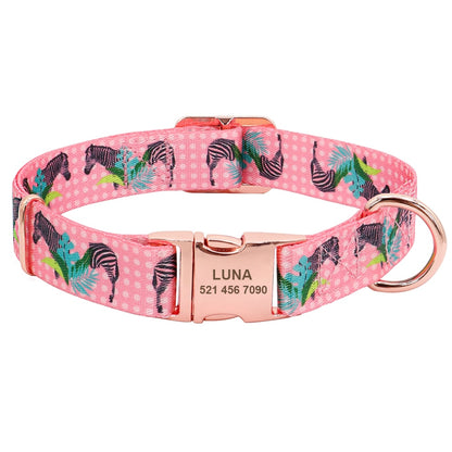 Nylon Dog Collar