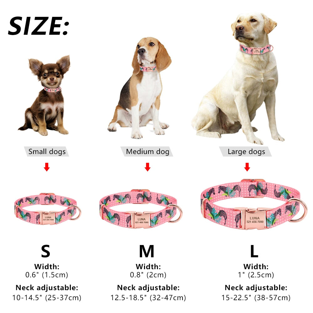 Nylon Dog Collar