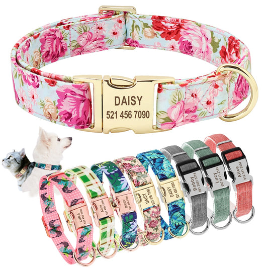 Nylon Dog Collar