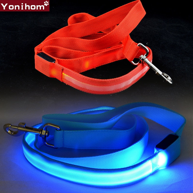 Reflective LED Dog Leash