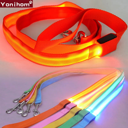 Reflective LED Dog Leash