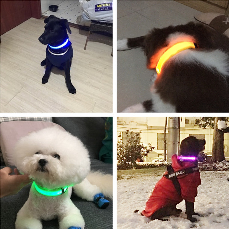 Rechargable Dog LED Flashing Collar