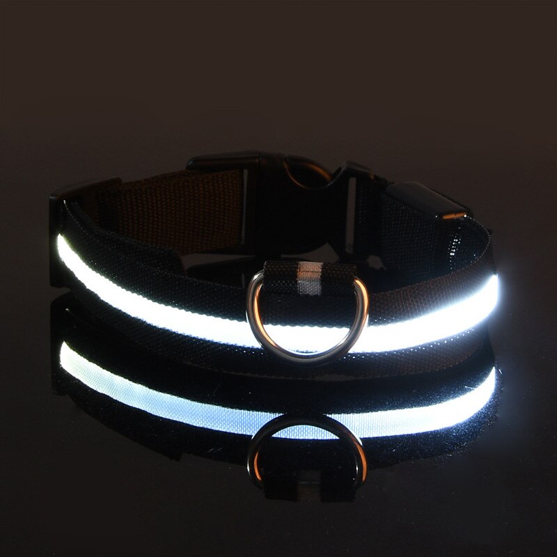 Rechargable Dog LED Flashing Collar