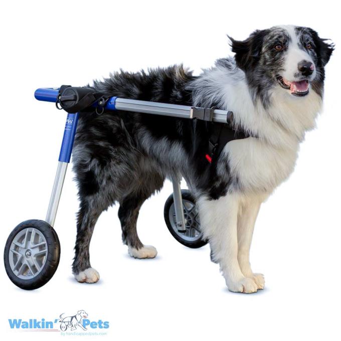 Adjustable Medium Size Dog Wheelchairs