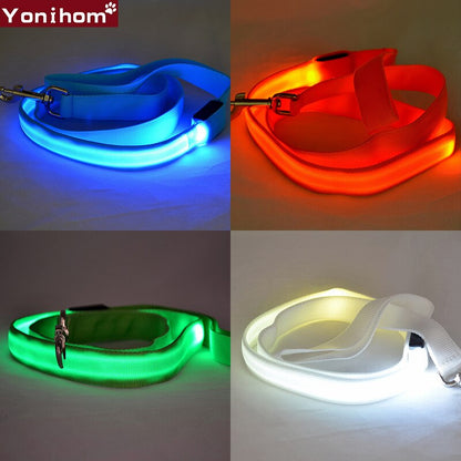 Reflective LED Dog Leash