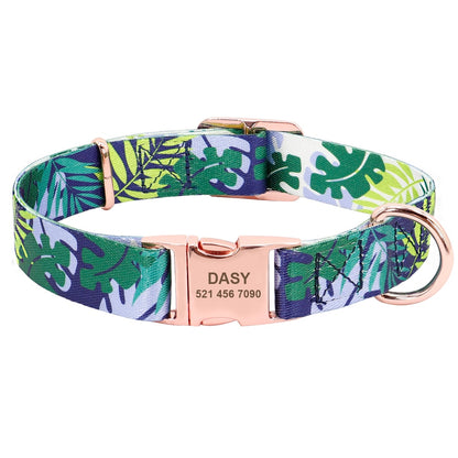 Nylon Dog Collar