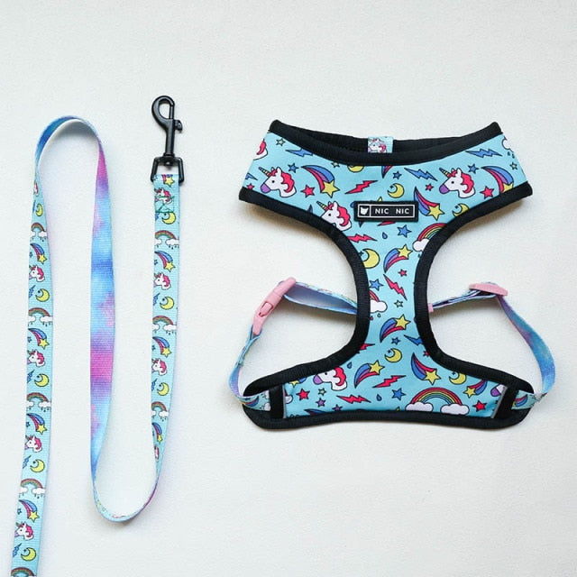 Leash / Harness SET For French Bulldogs