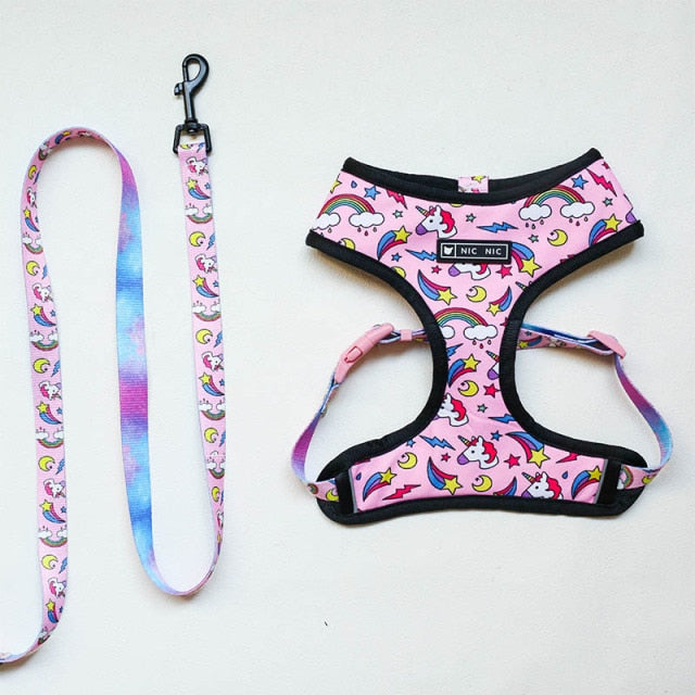 Leash / Harness SET For French Bulldogs