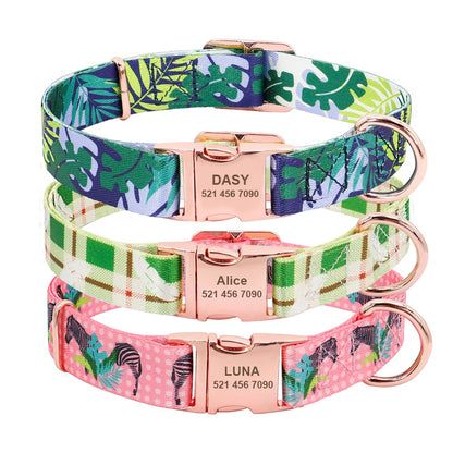 Nylon Dog Collar