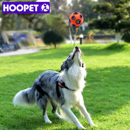 HOOPET Pet Dog Toys Toy Funny Interactive Ball Dog Chew Toy For Dog Ball Of Food Rubber Balls Pets Supplies