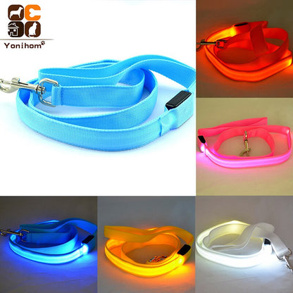 Reflective LED Dog Leash